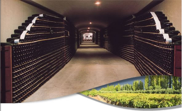 Vincolas Mendoza