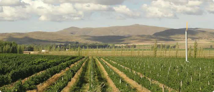 Catamarca y La Rioja - Wine Tour en Catamarca y La Rioja - 6 Días