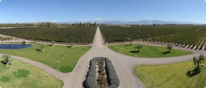 Unforgettable Mendoza - Mendoza Wine Tour - 6 days