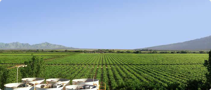 La Rioja  Talampaya: Wines and Dinosaurs - La Rioja Wine Tour - 4 Days