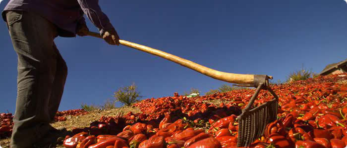 Salta, tan linda que enamora - Wine Tour en Salta - 4 Días