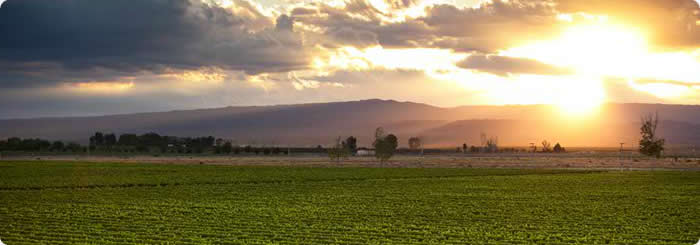 Uco Valley: The Valley of Sensations - Mendoza Wine Tour - 3 Days