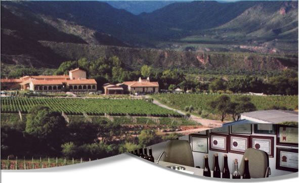 Altura Tourism & Windes