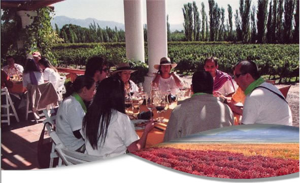 Altura Tourism & Windes