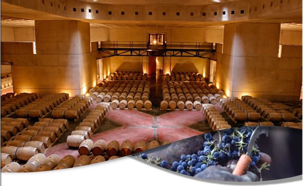 A vitivinicultura Argentina