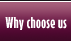 Why choose us