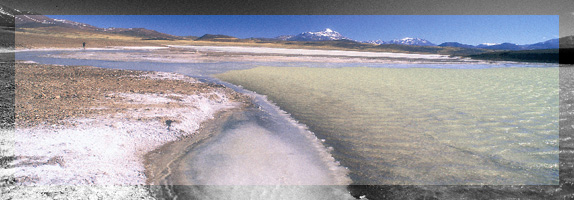 Laguna Brava