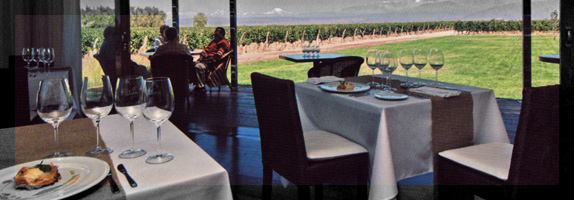 Turismo de vinos - Mendoza