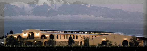 Bodega de Mendoza