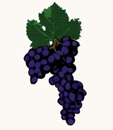 Pinot Noir