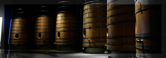 Vitivinicultura Argentina