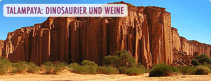 Wine Tours