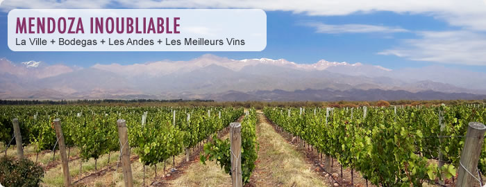 Wine Tours