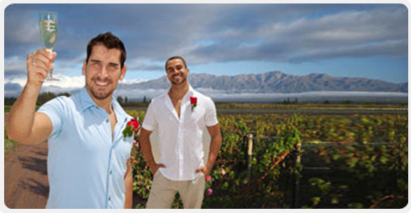 Wine Tours
